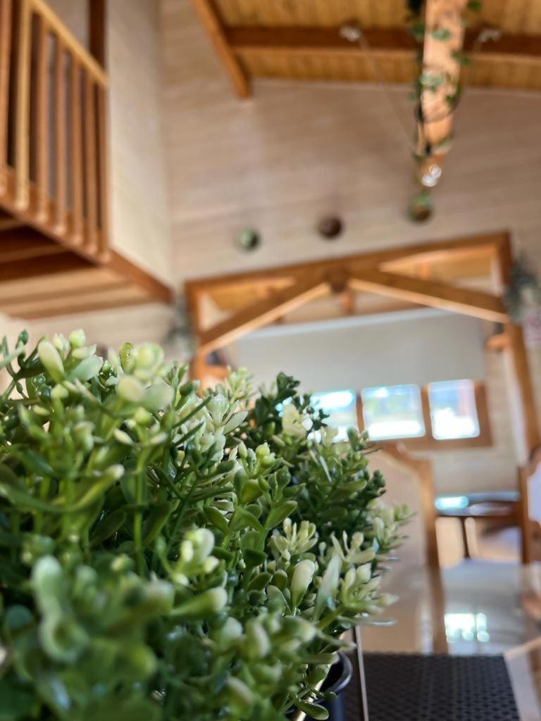 Luxury Rural Cuenca Villas Rom bilde